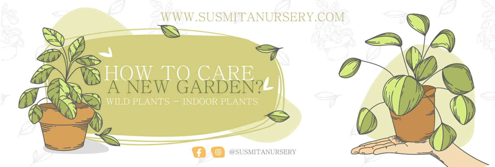 Fruit Plants
