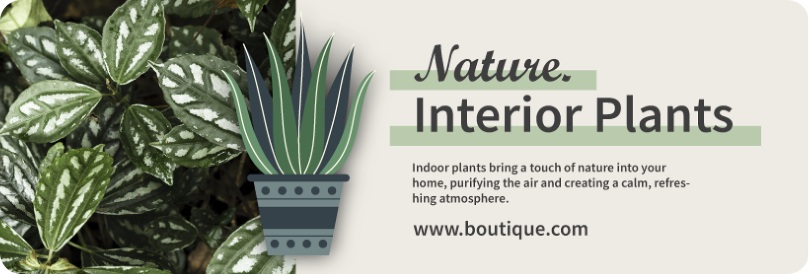 Ornamental Plants